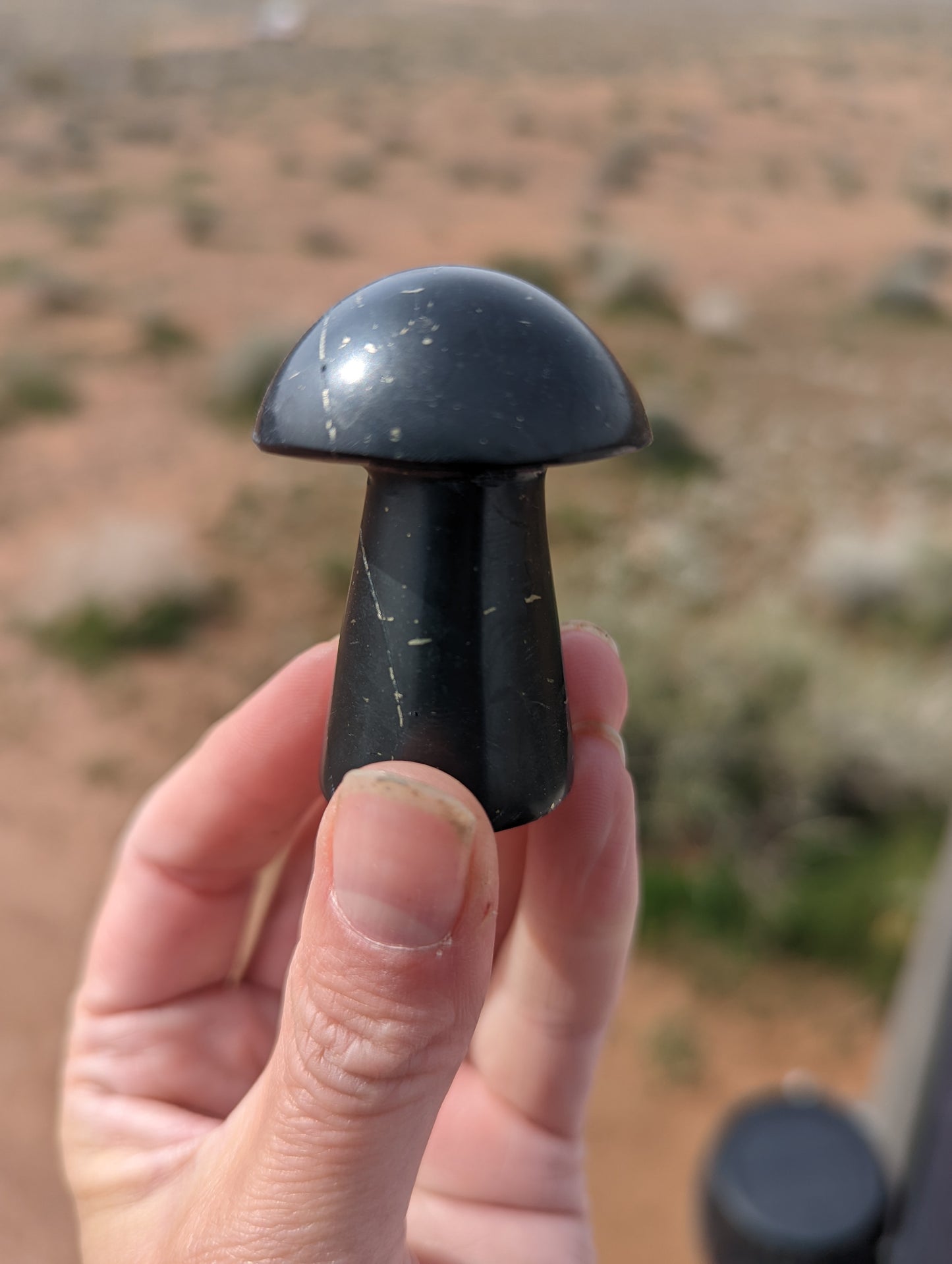 Shungite mushroom