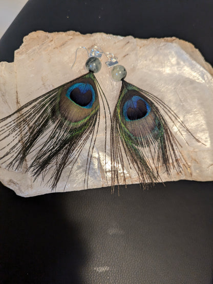 Peacock feather earrings