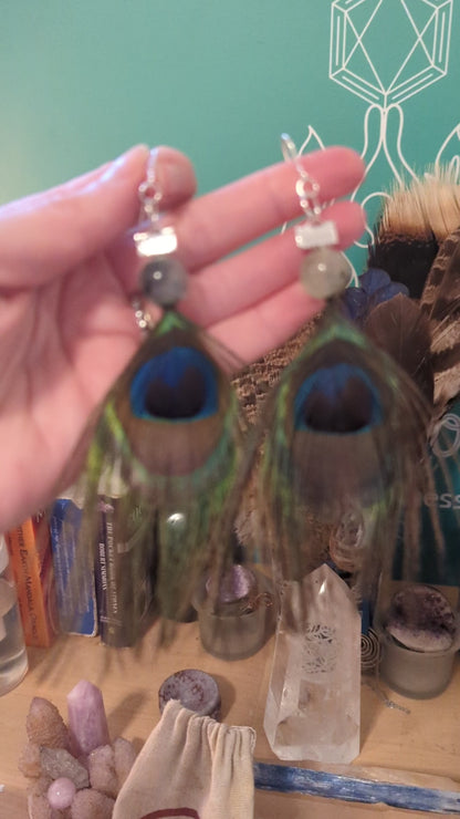 Peacock feather earrings