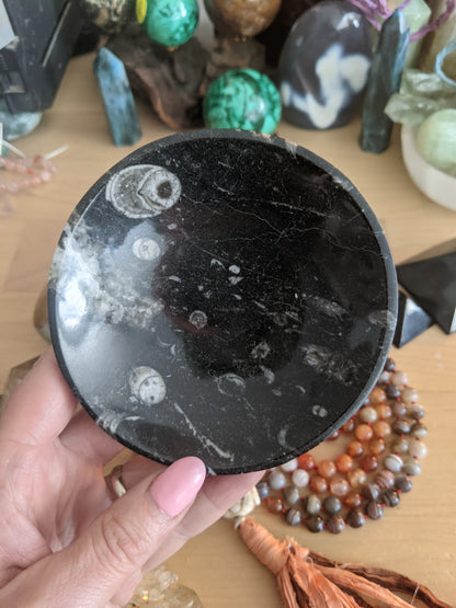 Trilobite bowls.