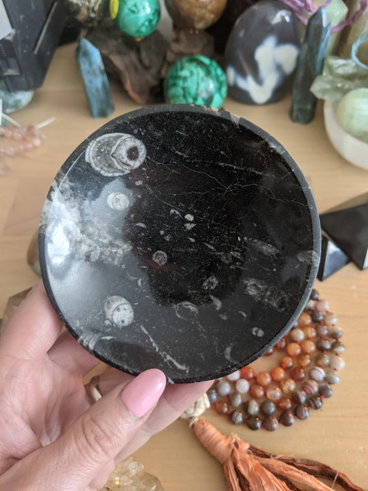 Trilobite bowls.