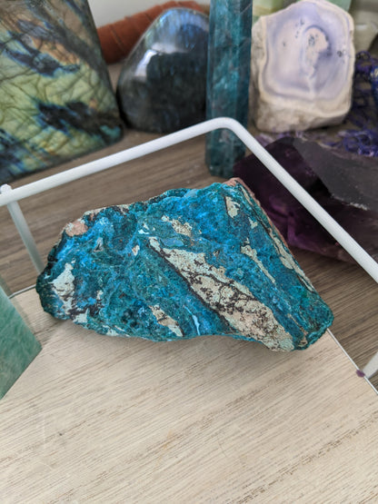 Chrysocolla chonk!