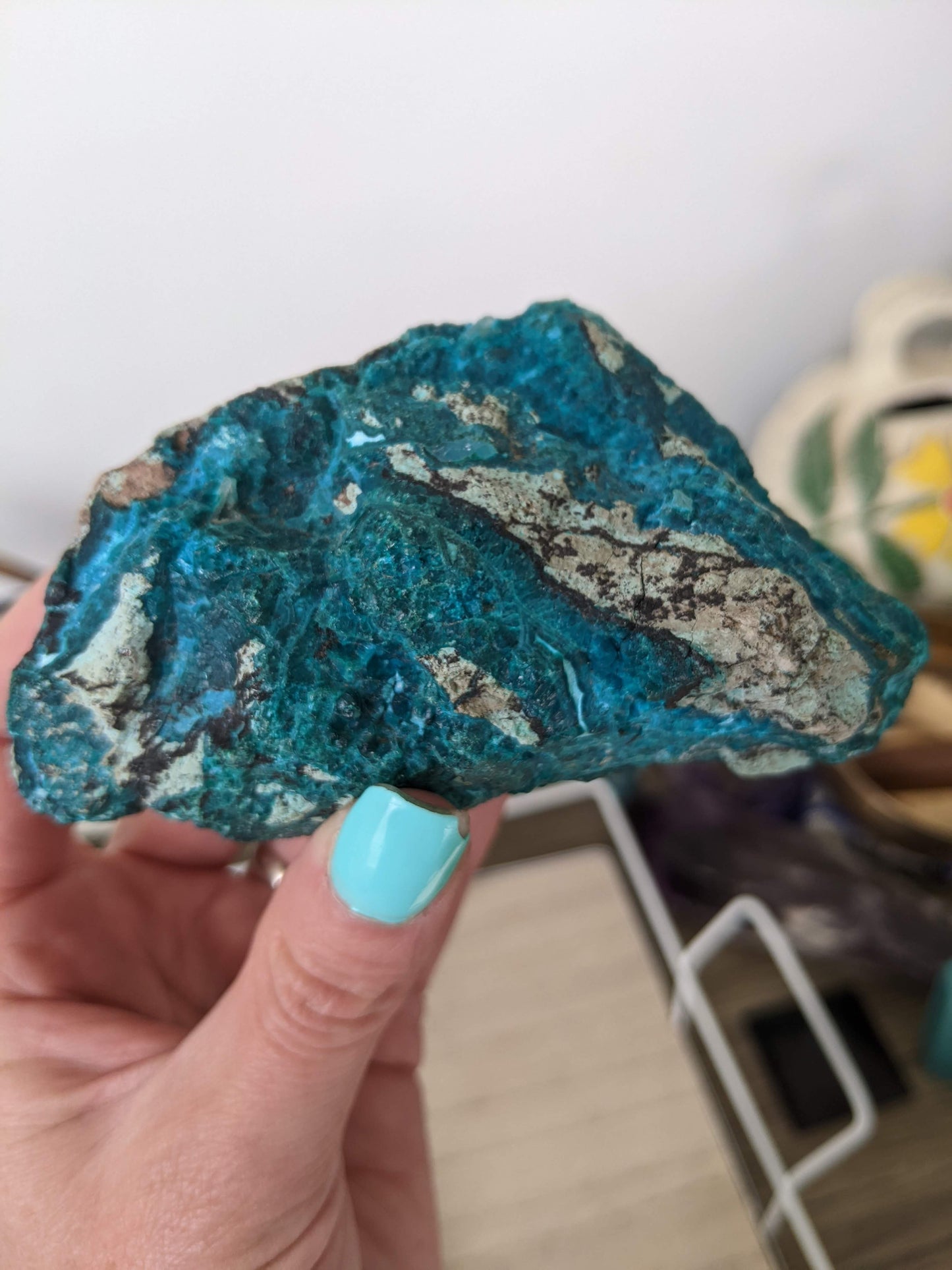 Chrysocolla chonk!