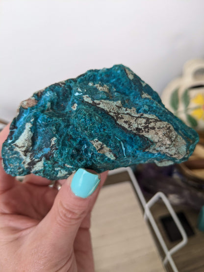 Chrysocolla chonk!