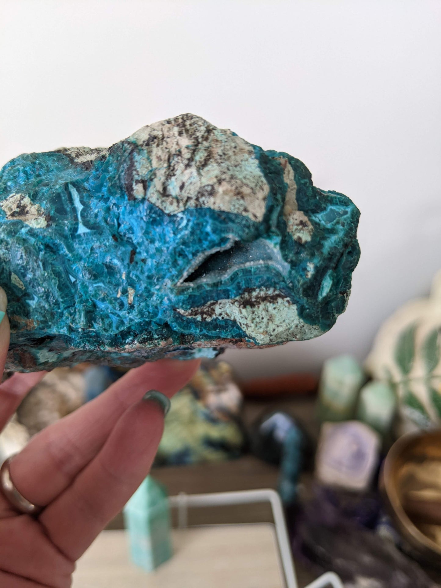 Chrysocolla chonk!