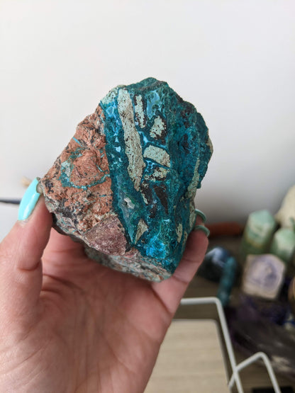 Chrysocolla chonk!