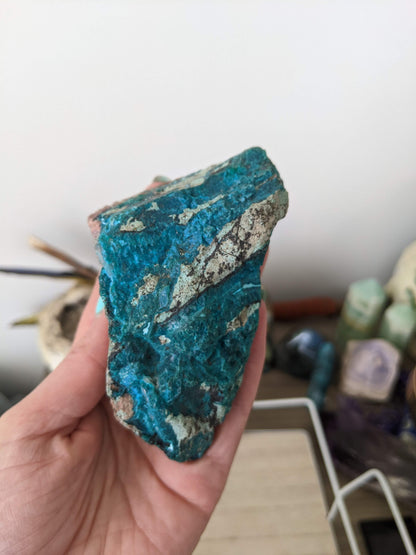 Chrysocolla chonk!