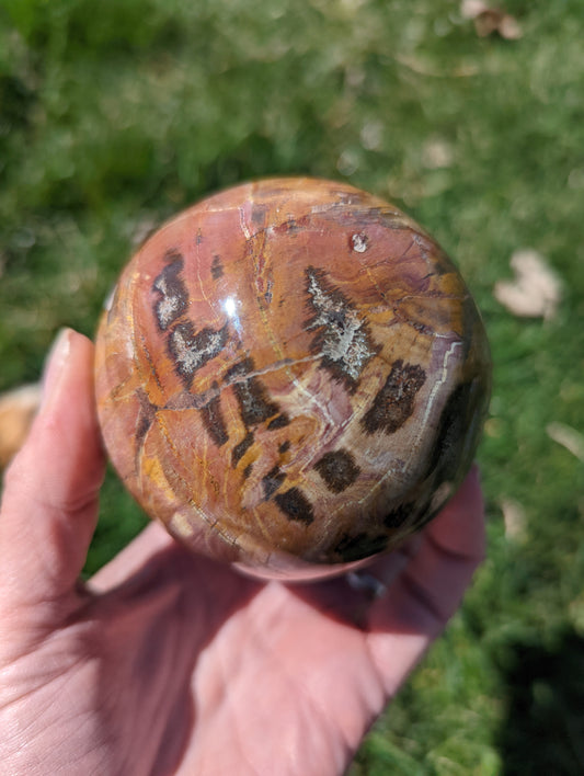 Petrified wood sphere